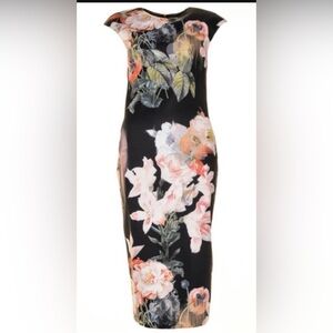 Ted Baker Multicolor Floral Dress